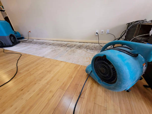 Professional Sewage Cleanup technician working in Fenelton, PA